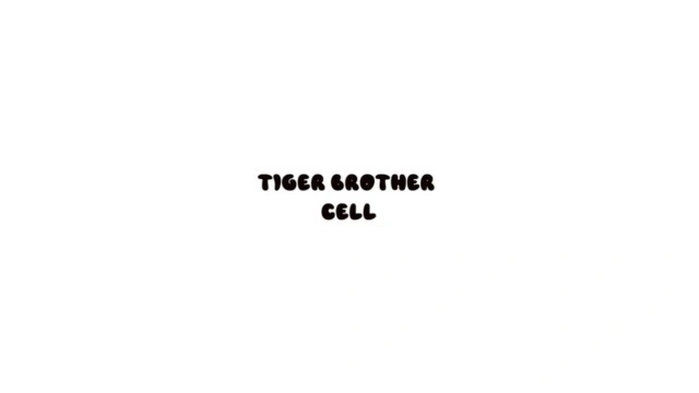 TIGER BROTHER CELL